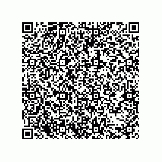 vCard 79377800131