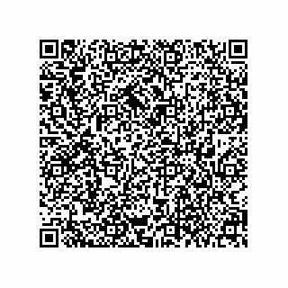 vCard 79377800132