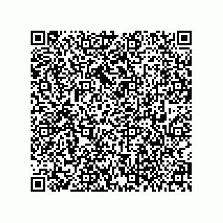 vCard 79377800133