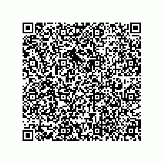 vCard 79377800138