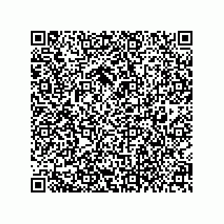 vCard 79377800221