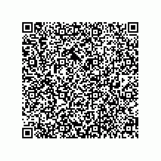 vCard 79377800272