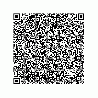 vCard 79377800331