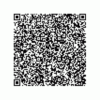 vCard 79377800335