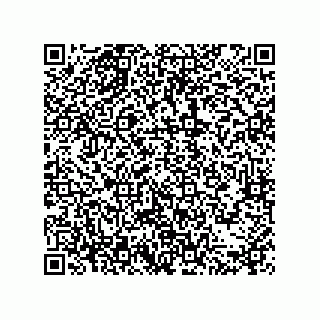 vCard 79377800385