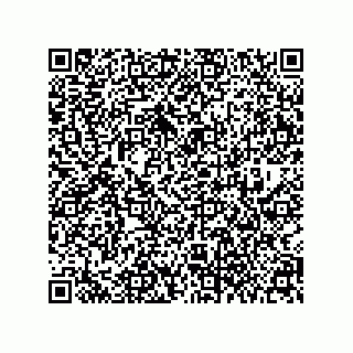 vCard 79377843381