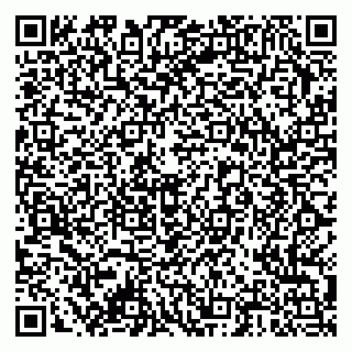 vCard 79378000411