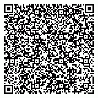 vCard 79378000413