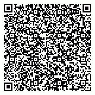 vCard 79378000497