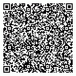 vCard 79378000519