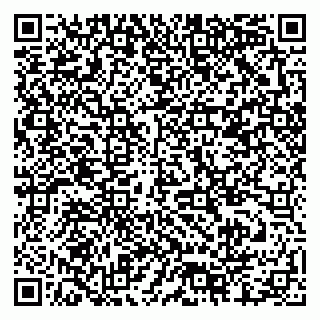 vCard 79378000541