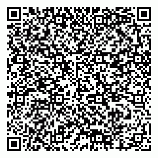 vCard 79378000587