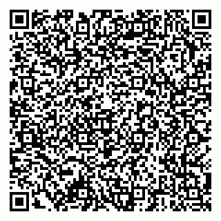 vCard 79378000733