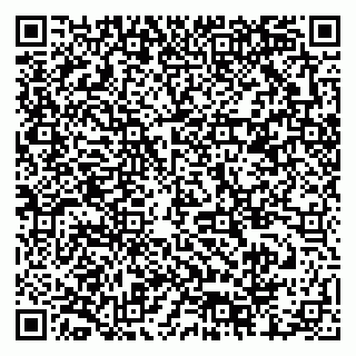 vCard 79378000773