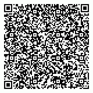 vCard 79378000811