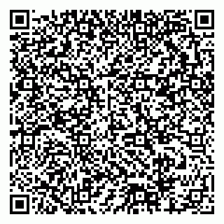 vCard 79378000833