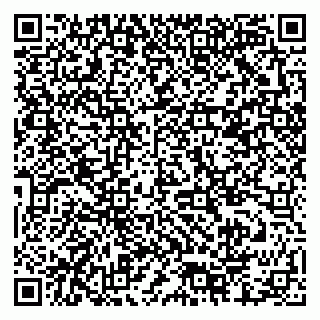 vCard 79378000853