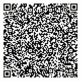 vCard 79378000878