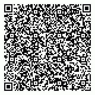 vCard 79378000889