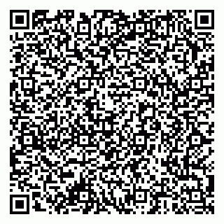 vCard 79378000919