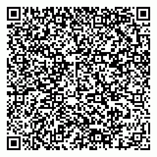 vCard 79378001003