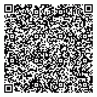 vCard 79378001029