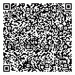 vCard 79378001033