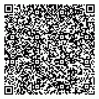 vCard 79378001067