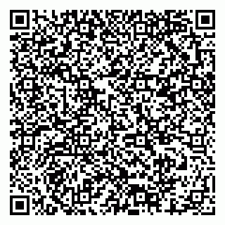 vCard 79378001103