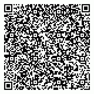 vCard 79378001173