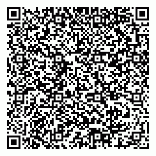 vCard 79378001174