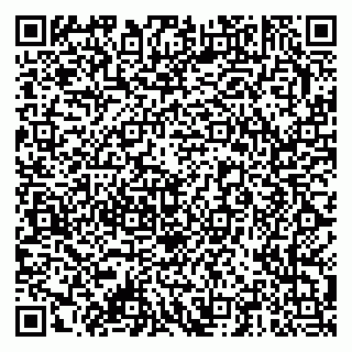 vCard 79378001311