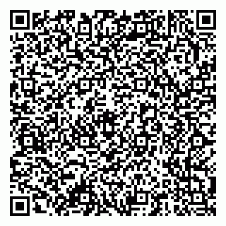 vCard 79378001327