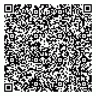 vCard 79378001333