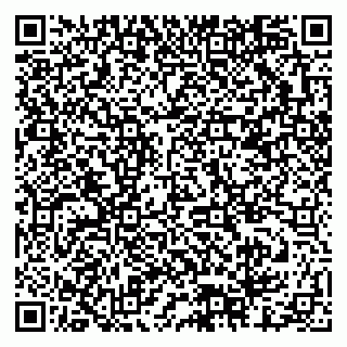 vCard 79378001334