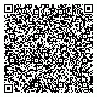 vCard 79378001335