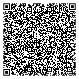 vCard 79378001371