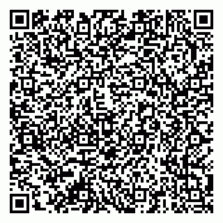 vCard 79378001373