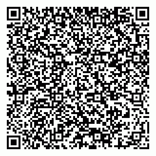 vCard 79378001382