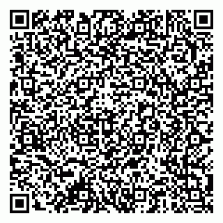 vCard 79378001385