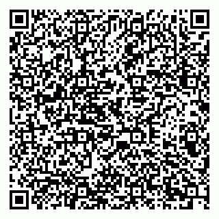 vCard 79378001411