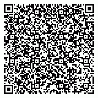 vCard 79378001503