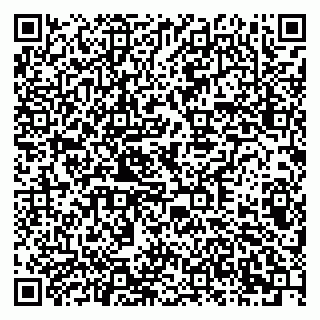 vCard 79378001520