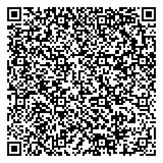 vCard 79378001531