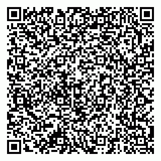 vCard 79378001535