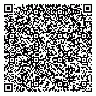 vCard 79378001611