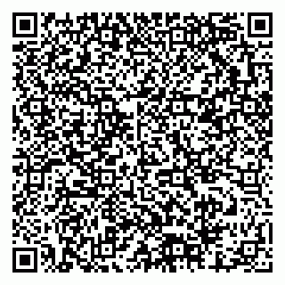 vCard 79378001633
