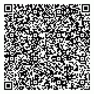 vCard 79378001635