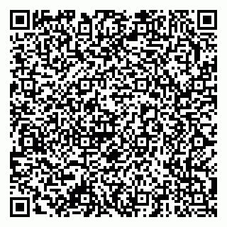 vCard 79378001717