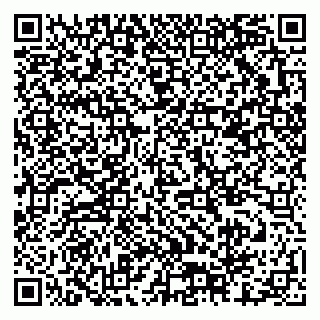 vCard 79378001729